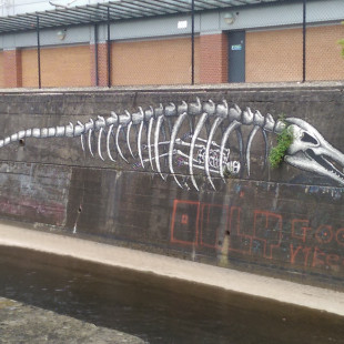 Phlegm's River Sheaf Fossils